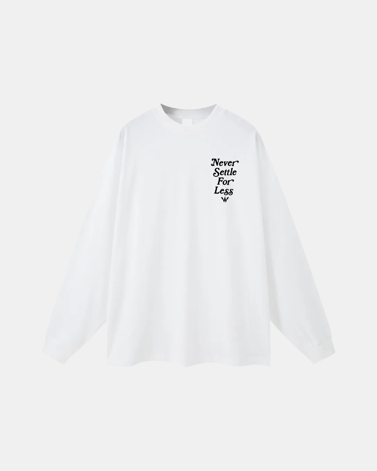 CLASSIC OVERSIZED LONG SLEEVE TEE IN FROST